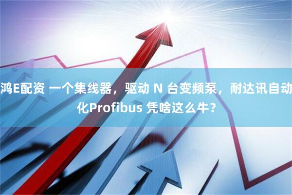 鸿E配资 一个集线器，驱动 N 台变频泵，耐达讯自动化Profibus 凭啥这么牛？