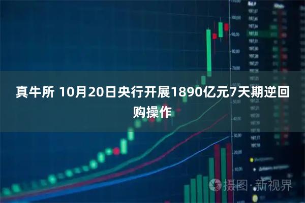 真牛所 10月20日央行开展1890亿元7天期逆回购操作